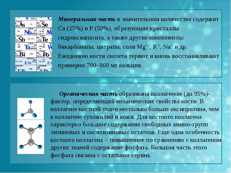 Биохимия костной ткани презентация