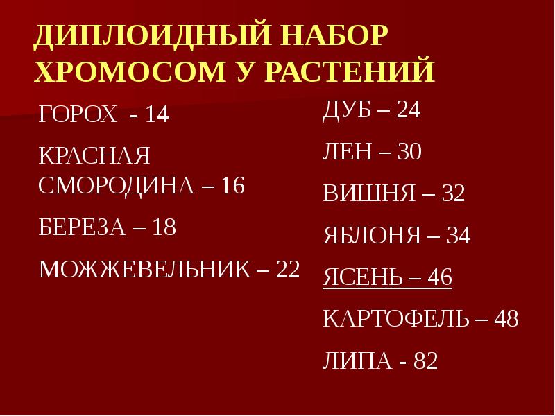 Число хромосом в диплоидном наборе. Диплоидный набор хромосом. Диплоидный набор хромосом у растений. Диплоидный набор хромосом человека. Диплоидный набор человека.