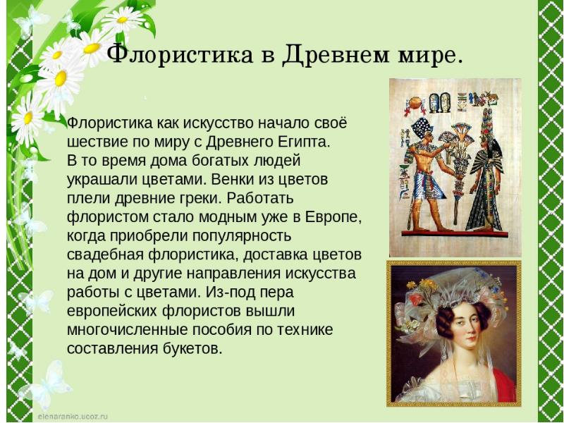 История флористики презентация