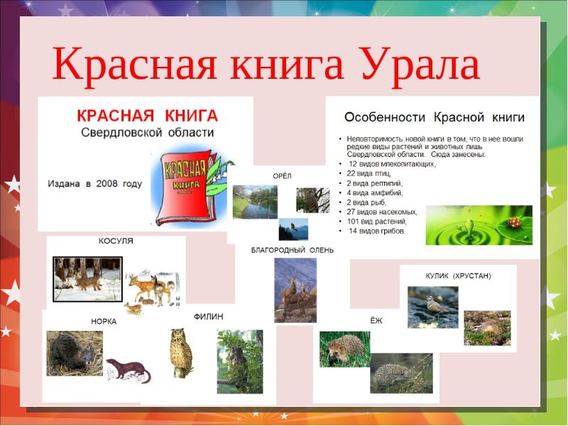 Животные южного урала из красной книги презентация