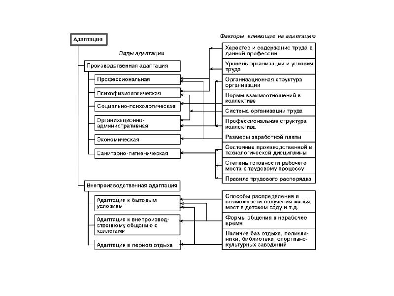 Схема адаптации персонала