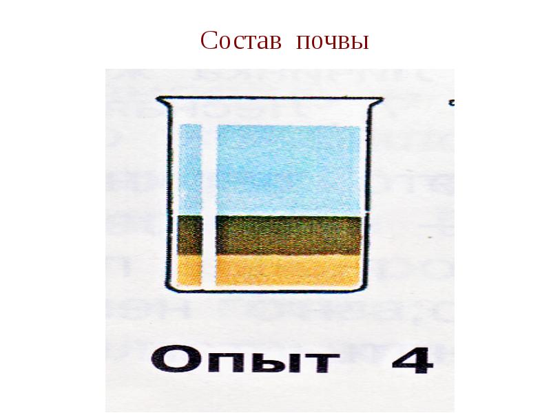 Состав почвы 3 класс. Состав почвы опыты 3. Состав почвы 3 класс окружающий мир опыты. Состав почвы 3 класс опыты. Состав почвы картинки.