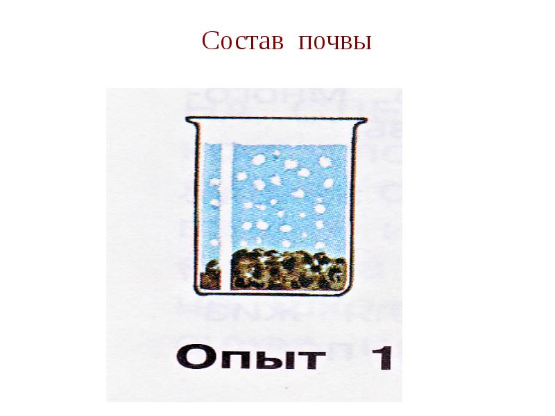 Состав почвы 3 класс окружающий мир. Состав почвы. Состав воздуха в почве. Опыт в почве есть воздух. Воздух в почве.