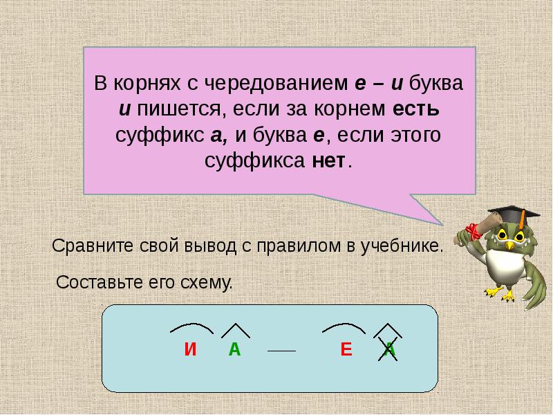 Чередование е и в корне слова 5 класс презентация