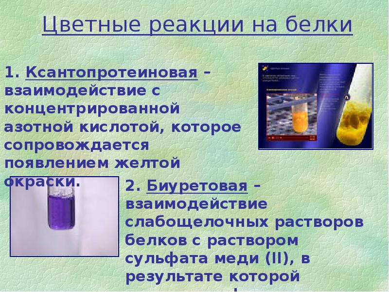 Презентация на тему белки по биологии 10 класс