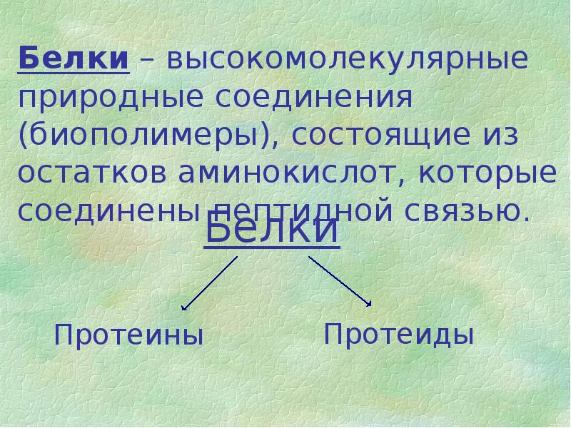 Белки презентация 10 класс химия