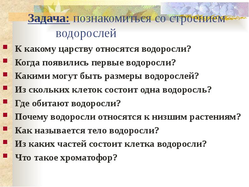 К какому царству относятся водоросли
