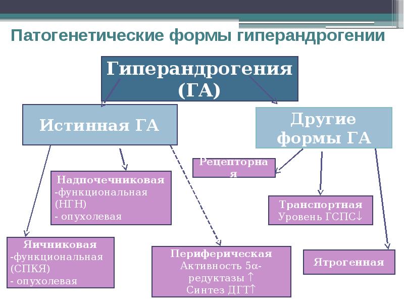 Для клинической картины гиперандрогении надпочечникового генеза характерно