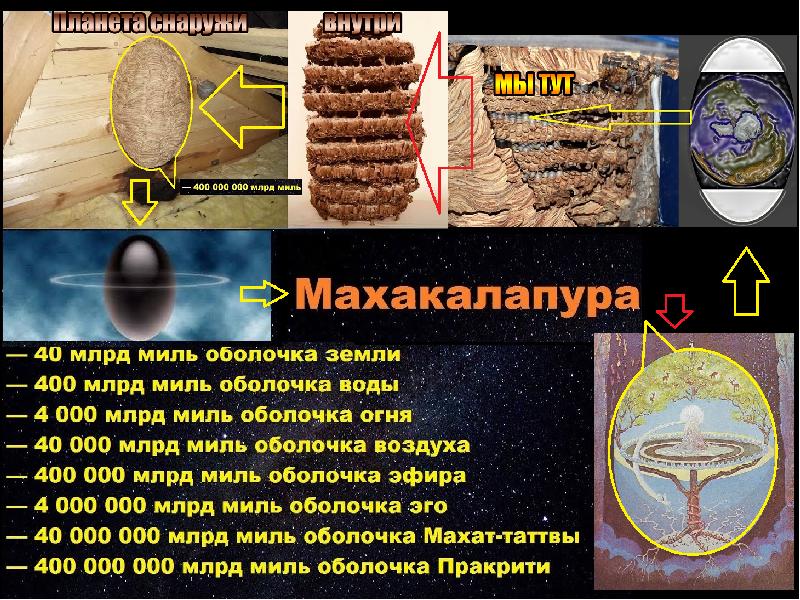 Сотовая Земля