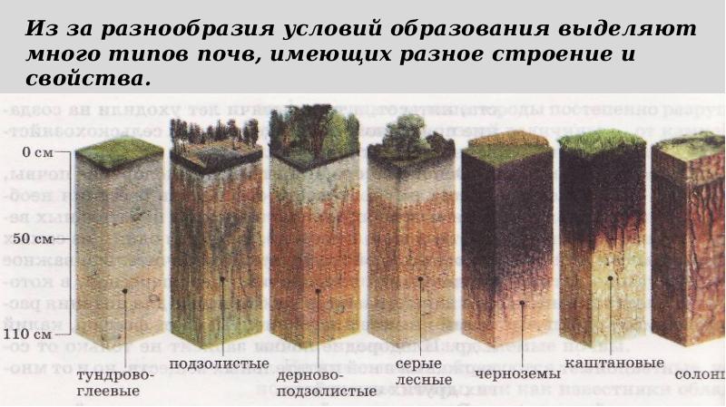 6 почв. Структура почвы 6 класс. Грунтовая 6.