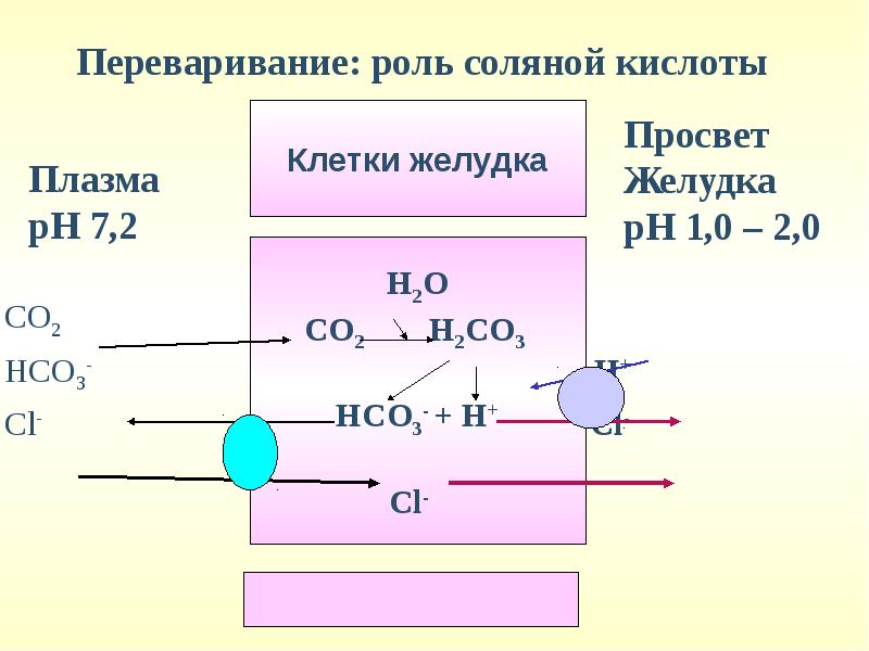 Схема образования соляной кислоты