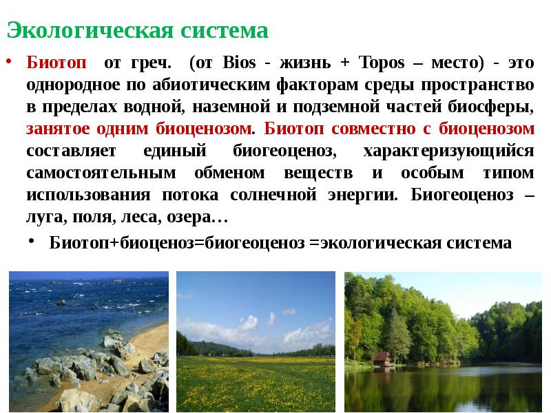 Экологическая система
Биотоп от греч. (от Bios - жизнь + Topos Экологическая система
Биотоп от греч. (от Bios - жизнь + Topos