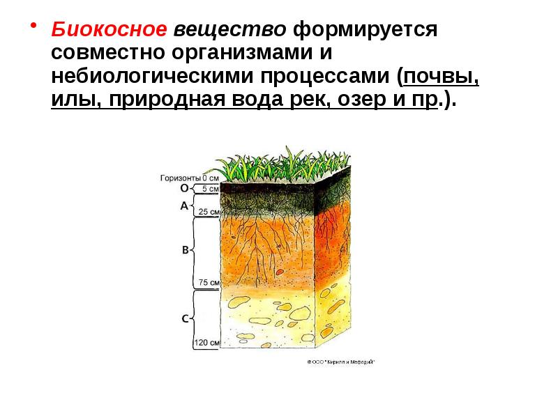 Почва какое вещество биосферы