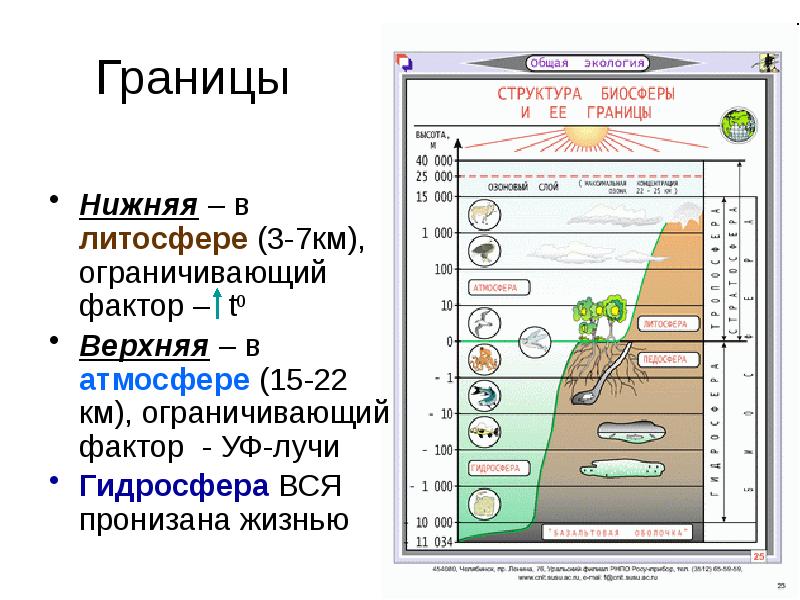 Нарисуйте схему границы биосферы