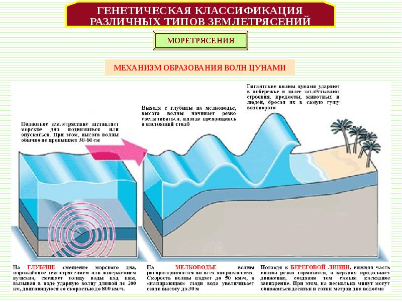 Проект цунами можно ли предотвратить трагедию