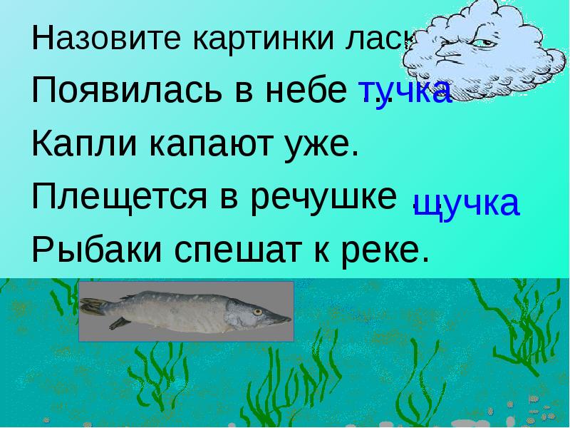 Что называют иллюстрациями. Предложение со словом щучка. Щучка словосочетание. Называть картинка для презентации. Схема слова щучка.