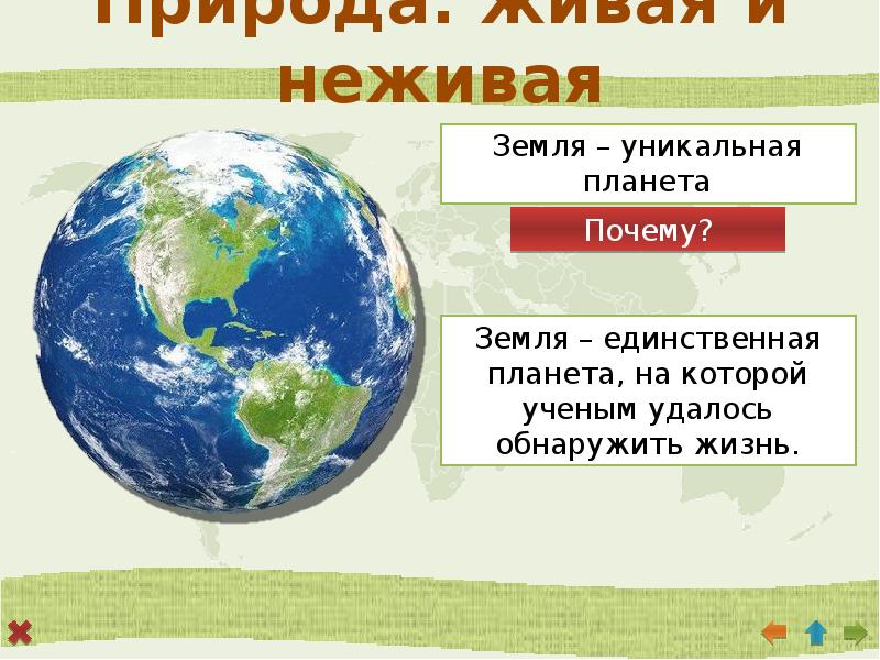 Как называется земля. Уникальная Планета земля. Почему Планета называется земля. Почему земля уникальная Планета. Земля единственная Планета на которой.