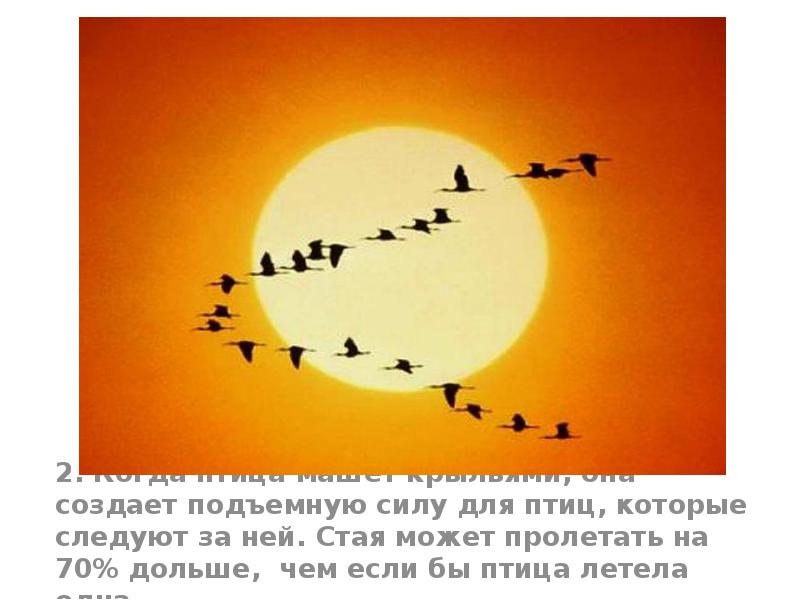 2. Когда птица машет крыльями, она создает подъемную силу для птиц, 2. Когда птица машет крыльями, она создает подъемную силу для птиц,