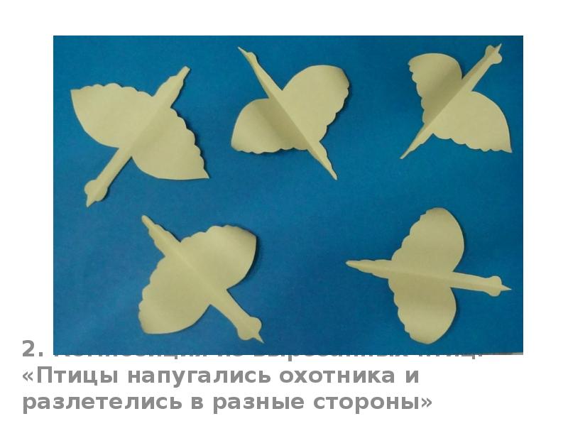 2. Композиция из вырезанных птиц: «Птицы напугались охотника и разлетелись в 2. Композиция из вырезанных птиц: «Птицы напугались охотника и разлетелись в