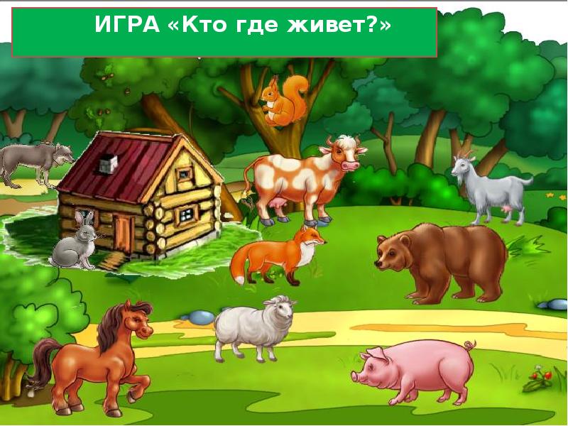 Домашние животные игра презентация