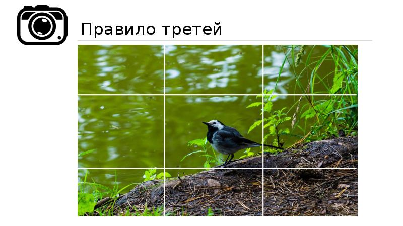 Правило 16. Правило третей. Правило третей в фотографии натюрморта. Правило третей PNG без фона. Правило