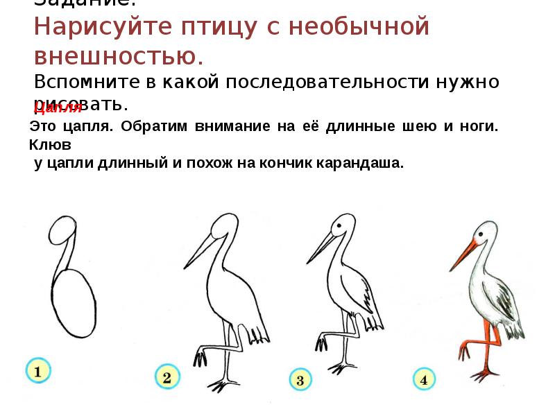 Рисование птиц 2 класс презентация школа россии