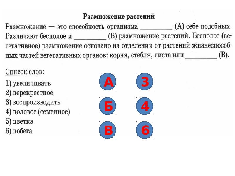 Впр по биологии 6 класс 2018 образец