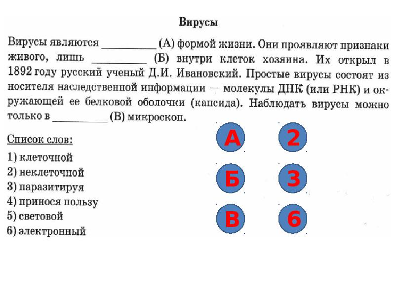 Образец по биологии впр 6 класс