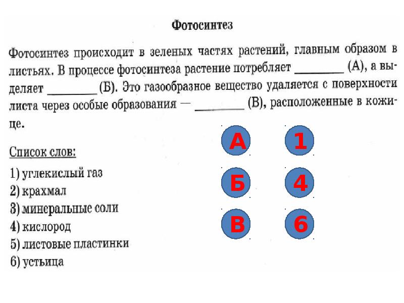 Впр по биологии 6 класс 2018 образец