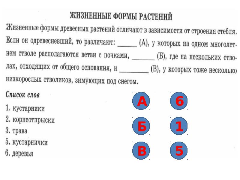 Впр по биологии 6 класс 2018 образец