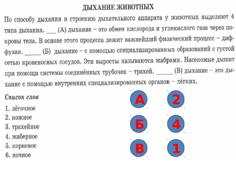 Образец по биологии впр 6 класс