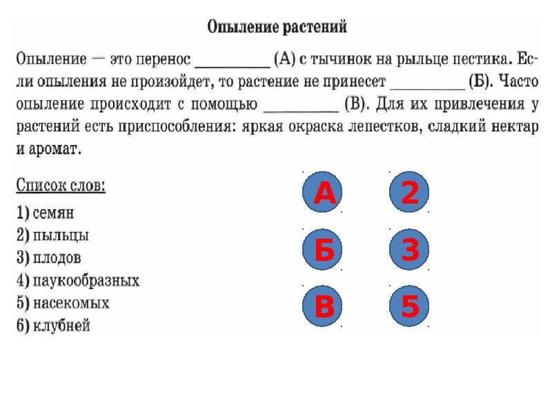 Установите последовательность процессов изображенных на схеме запишите в ответе порядковые номера