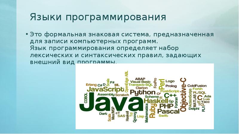 Формальная знаковая система предназначенная для записи компьютерных программ это