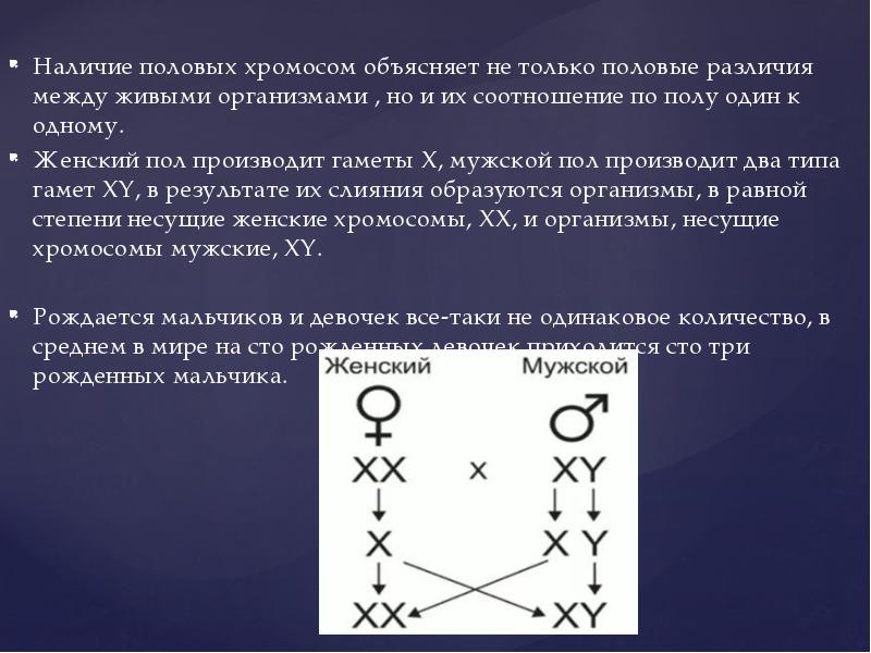 1 половая хромосома. Наследование признаков сцепленных с полом презентация. Типы соотношения половых хромосом у разных организмов таблица. Половая хромосомная Конституция мужчины. Особенности передачи половых хромосом.