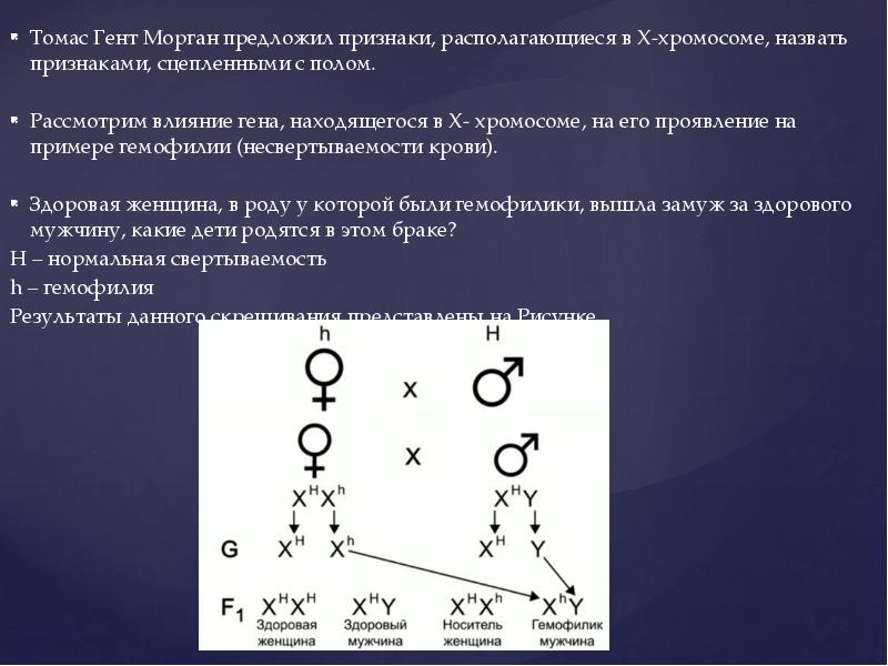 Сцепленное наследование с полом презентация 10 класс профильный уровень