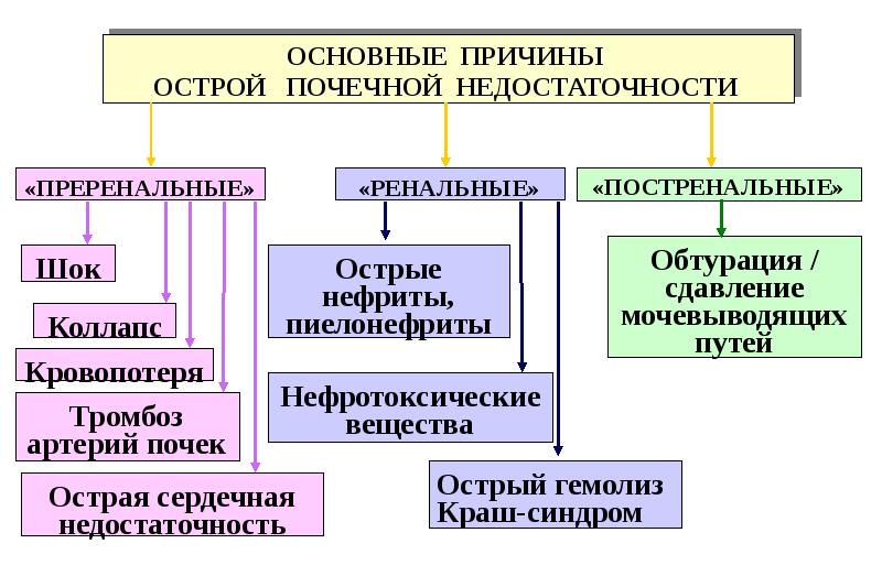 Острая почечная недостаточность патогенез