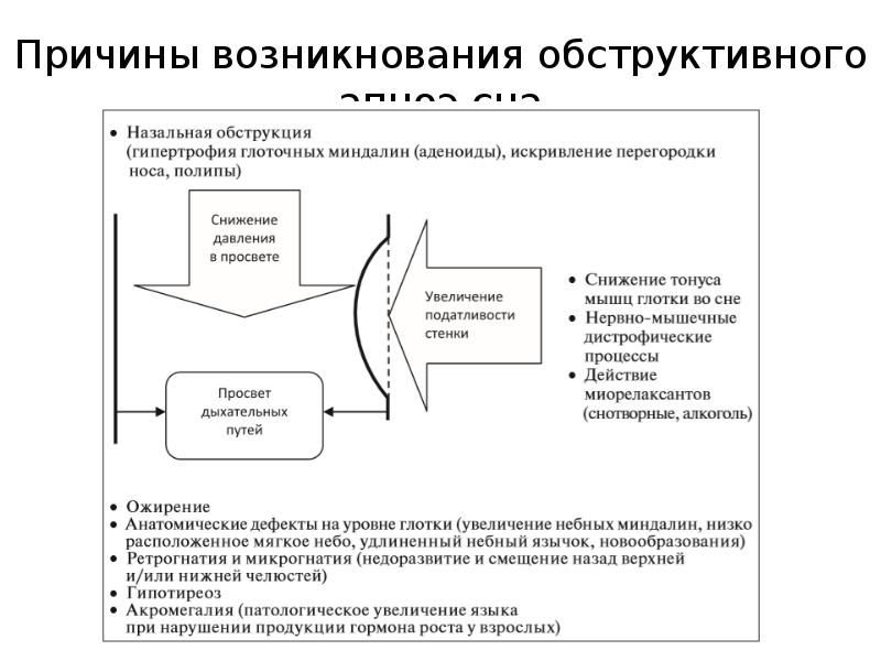 Причины возникнования обструктивного апноэ сна
Причины возникнования обструктивного апноэ сна Причины возникнования обструктивного апноэ сна
Причины возникнования обструктивного апноэ сна