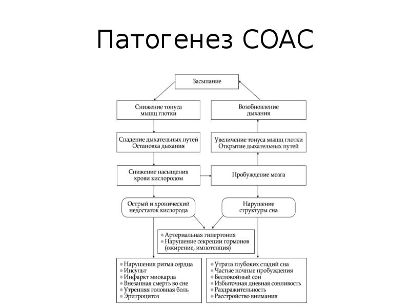 Патогенез СОАС Патогенез СОАС