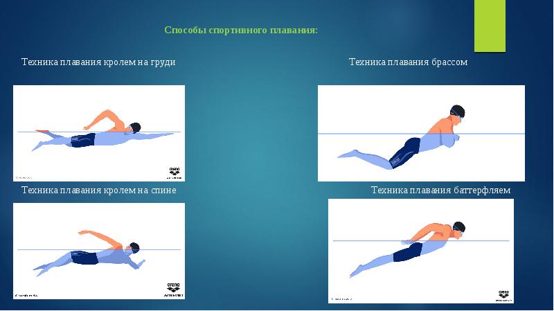 Способы спортивного плавания. Техника спортивного плавания Кроль на груди. Техника обучения брасса на спине детей школьного возраста. Обучение работе ног в плавании баттерфляем презентация.