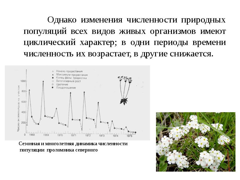 Изменение численности популяций презентация