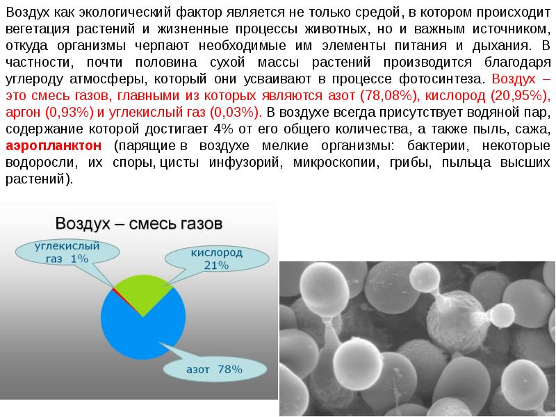 Воздух как фактор среды обитания. Физические факторы атмосферного воздуха гигиена. Химическое загрязнение окружающей среды. Атмосфера как фактор окружающей среды. Воздух как фактор окружающей среды.