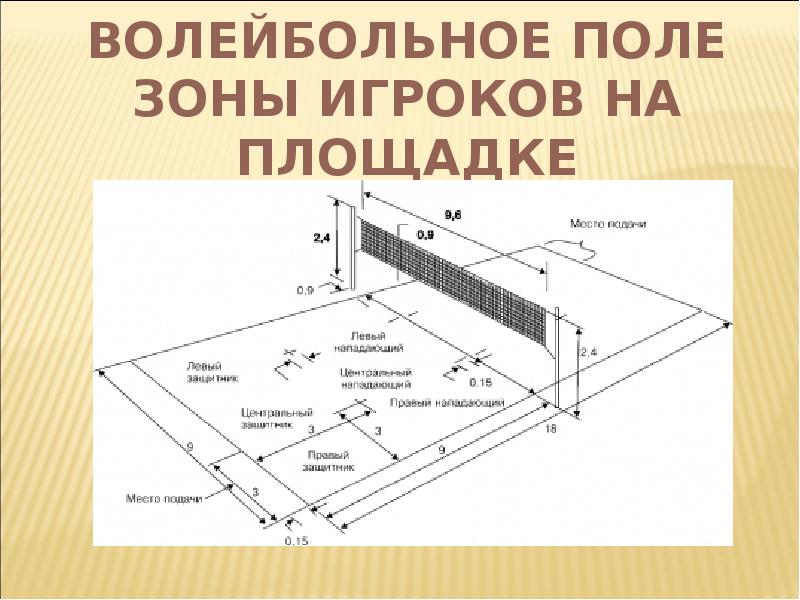 Площадка волейбольная схема с зонами и линиями