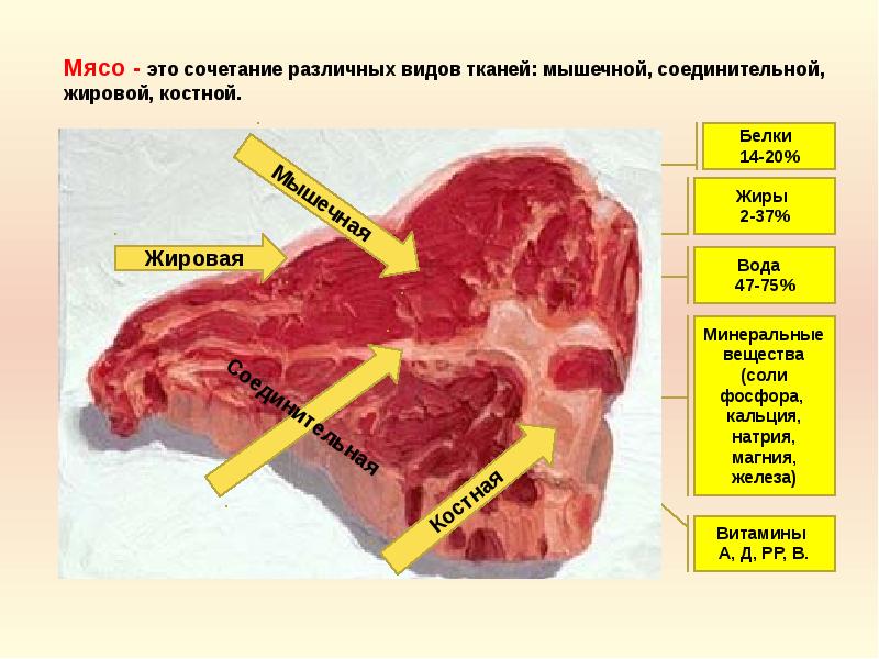 Презентация по мясу