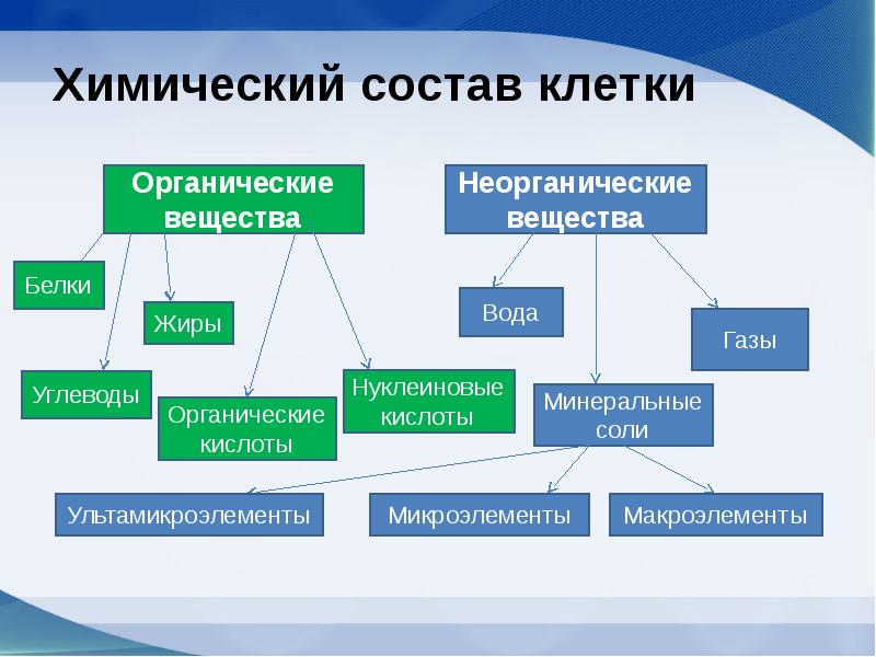 Химический состав клетки презентация