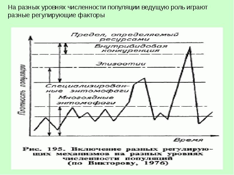 Как меняется численность популяции. Как меняется численность популяции