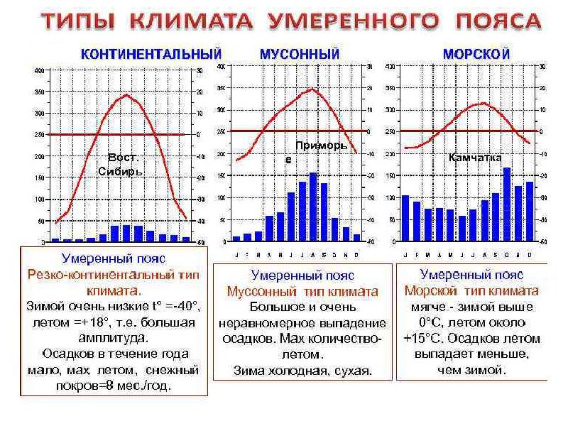 Диаграмма арктического климата