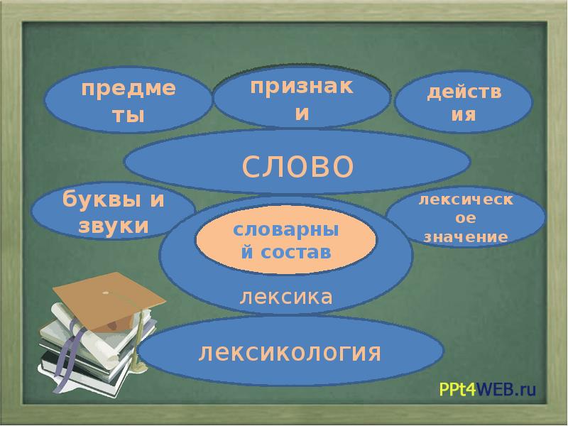 Лексика презентация 6 класс русский язык