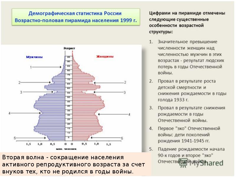 Графическое изображение распределения населения какой либо территории по полу и возрасту называется