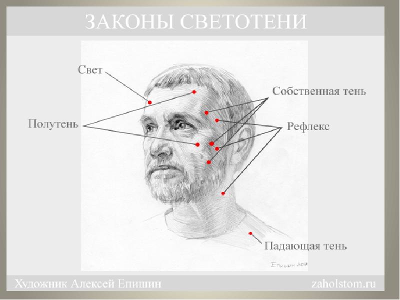 Схема света для бизнес портрета