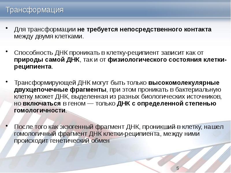 Днк способности. Трансформирующей ДНК.. Способы генетического обмена у бактерий. Способности ДНК. Условия необходимые для трансформации.